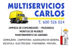 MULTISERVICIOS CARLOS Colaborador AT MTX Fútbol Sala