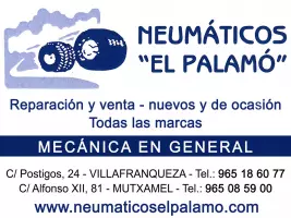 NEUMATICOS EL PALAMO